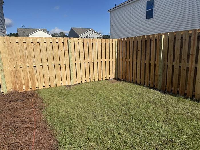 Shadow box wood fence around a green backyard